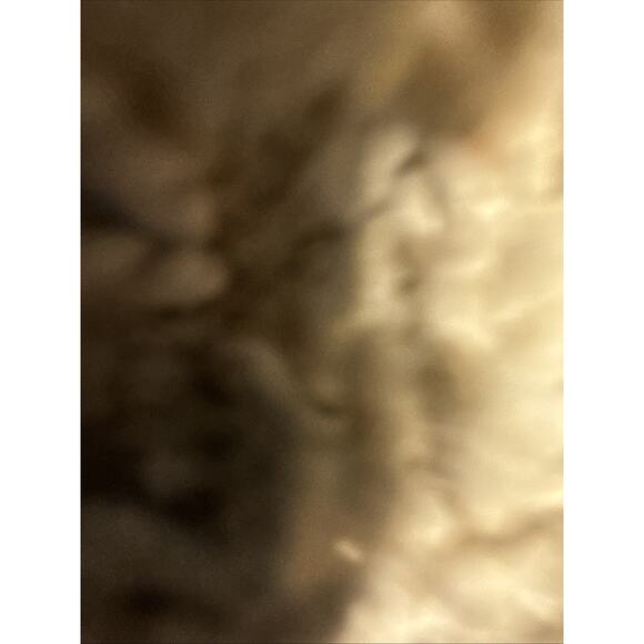 Brooks Ghost 13 1203381B051 Women's Gray Running Shoes Size 9.5B - Picture 10 of 13